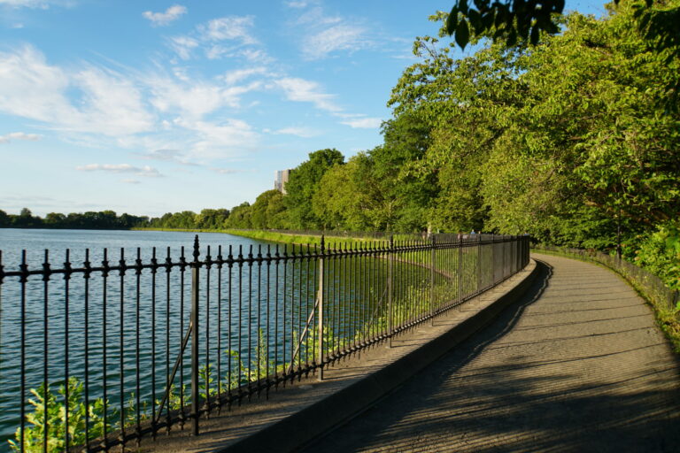 Central Park New York Manhattan